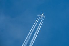 Россиянам назвали набравшие популярность направления для отдыха на праздники