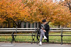 Российская тревел-блогерша описала США словами &laquo;деревья тоже должны соблюдать правила&raquo;