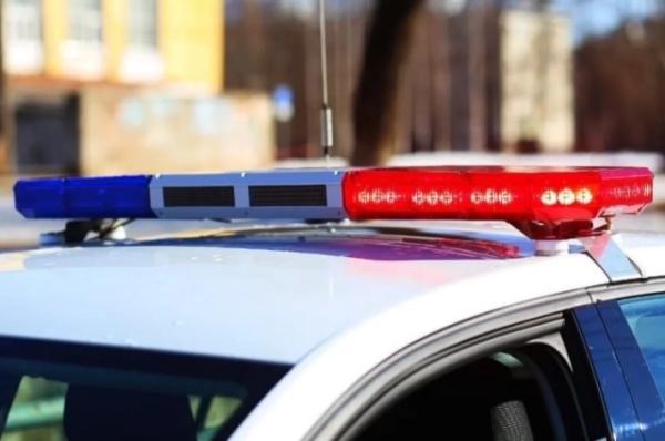 В Улан-Удэ мусоровоз сбил женщину на переходе