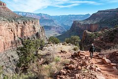 Россиянин побывал в США и описал страну фразой &laquo;безопасность, комфорт и контроль&raquo;